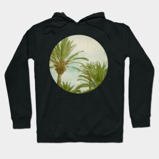 Palm Trees Hoodie